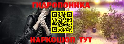 спайс Тара