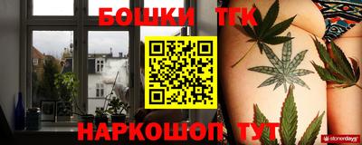 спайс Тара