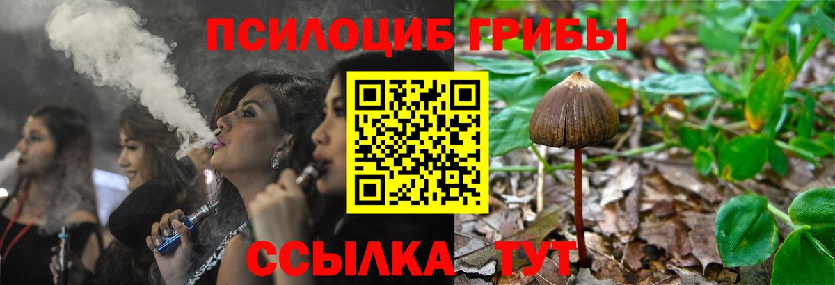 Галлюциногенные грибы Psilocybe Миасс